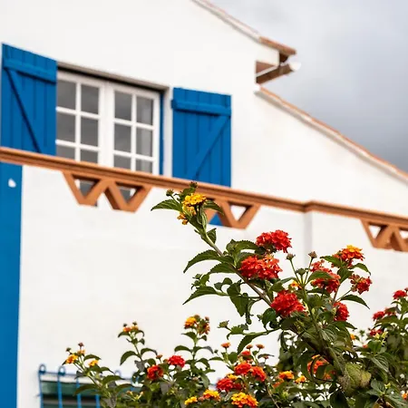 Casa Da Figueira * Ericeira